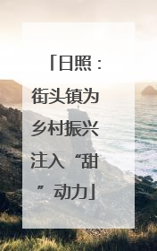 日照：街头镇为乡村振兴注入“甜”动力