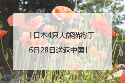日本4只大熊猫将于6月28日送返中国