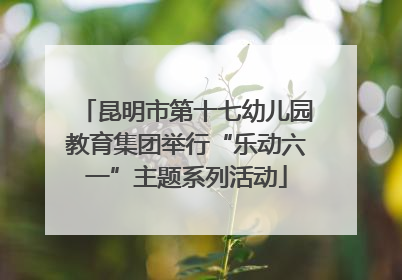 昆明市第十七幼儿园教育集团举行“乐动六一”主题系列活动