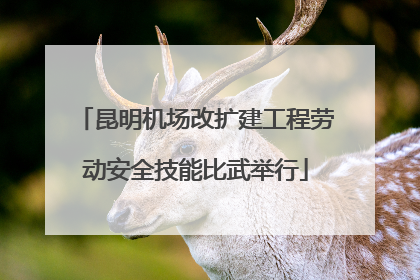 昆明机场改扩建工程劳动安全技能比武举行