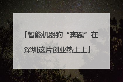 智能机器狗“奔跑”在深圳这片创业热土上