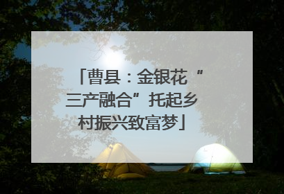 曹县：金银花“三产融合”托起乡村振兴致富梦
