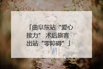 曲阜东站“爱心接力” 术后旅客出站“零障碍”