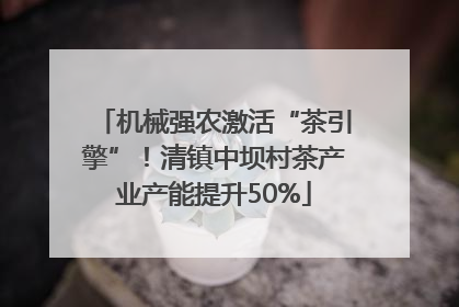机械强农激活“茶引擎”！清镇中坝村茶产业产能提升50%