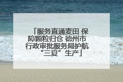 服务直通麦田 保障颗粒归仓 德州市行政审批服务局护航“三夏”生产