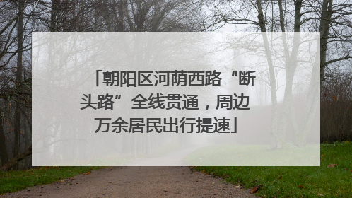 朝阳区河荫西路“断头路”全线贯通，周边万余居民出行提速