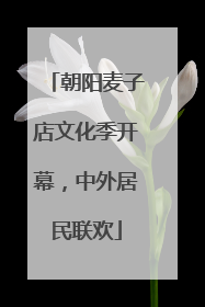 朝阳麦子店文化季开幕，中外居民联欢