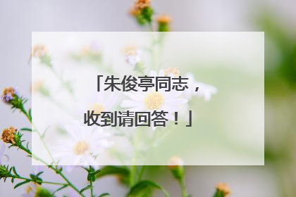 朱俊亭同志，收到请回答！