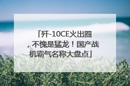 歼-10CE火出圈，不愧是猛龙！国产战机霸气名称大盘点