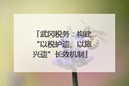 武冈税务：构建“以税护遗、以旅兴遗”长效机制