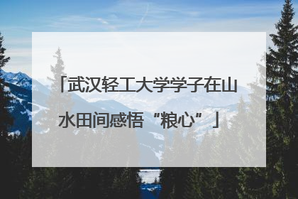 武汉轻工大学学子在山水田间感悟“粮心”