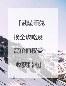 武陵币兑换全攻略及高价值权益收获指南