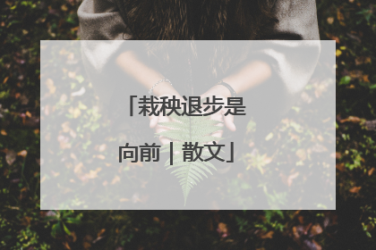 栽秧退步是向前｜散文