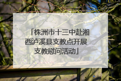 株洲市十三中赴湘西泸溪县支教点开展支教慰问活动