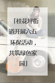桂花坪街道开展六五环保活动，共筑绿色家园