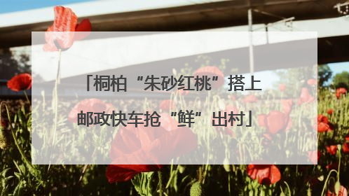桐柏“朱砂红桃”搭上邮政快车抢“鲜”出村