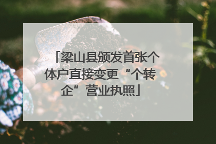 梁山县颁发首张个体户直接变更“个转企”营业执照