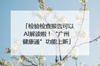 检验检查报告可以AI解读啦！“广州健康通”功能上新