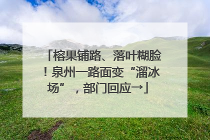 榕果铺路、落叶糊脸！泉州一路面变“溜冰场”，部门回应→