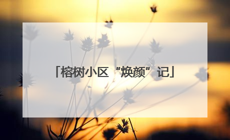 榕树小区“焕颜”记