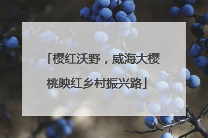 樱红沃野，威海大樱桃映红乡村振兴路