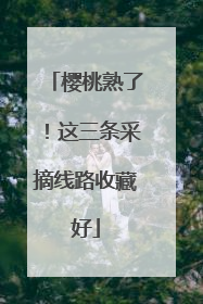樱桃熟了！这三条采摘线路收藏好
