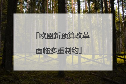 欧盟新预算改革面临多重制约