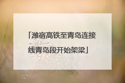 潍宿高铁至青岛连接线青岛段开始架梁