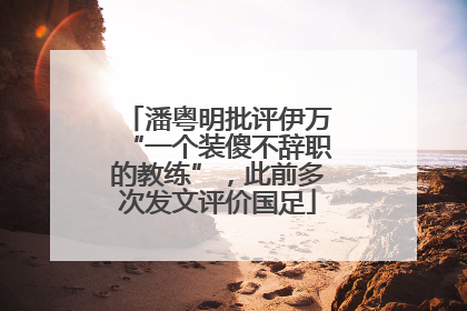 潘粤明批评伊万“一个装傻不辞职的教练”，此前多次发文评价国足