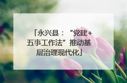 永兴县：“党建+五事工作法”推动基层治理现代化