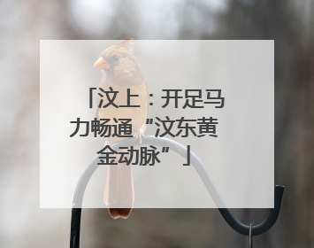 汶上：开足马力畅通“汶东黄金动脉”
