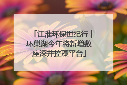 江淮环保世纪行｜环巢湖今年将新增数座深井控藻平台