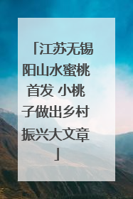 江苏无锡阳山水蜜桃首发 小桃子做出乡村振兴大文章