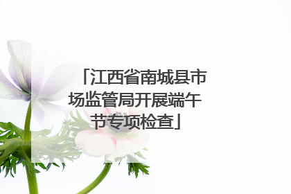江西省南城县市场监管局开展端午节专项检查