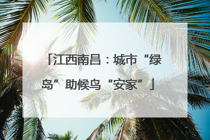 江西南昌：城市“绿岛”助候鸟“安家”