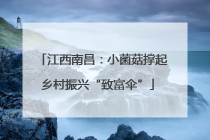 江西南昌：小菌菇撑起乡村振兴“致富伞”