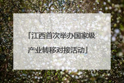 江西首次举办国家级产业转移对接活动
