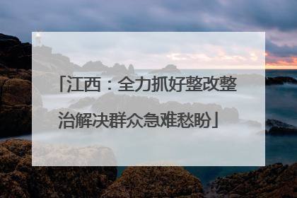 江西：全力抓好整改整治解决群众急难愁盼