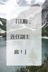 汪顺，连任副主席！