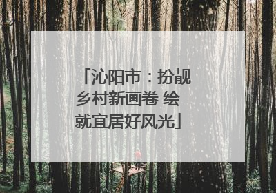 沁阳市：扮靓乡村新画卷 绘就宜居好风光