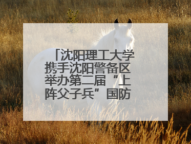 沈阳理工大学携手沈阳警备区举办第二届“上阵父子兵”国防教育亲子活动