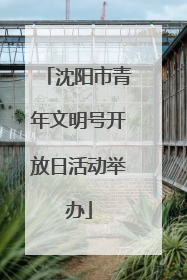 沈阳市青年文明号开放日活动举办
