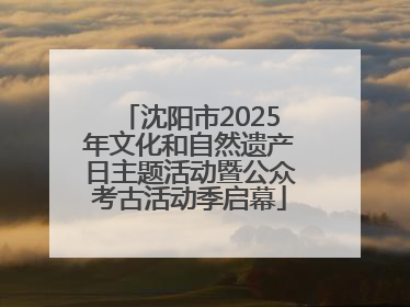 沈阳市2025年文化和自然遗产日主题活动暨公众考古活动季启幕