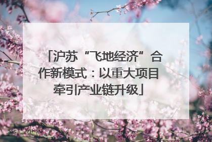 沪苏“飞地经济”合作新模式：以重大项目牵引产业链升级