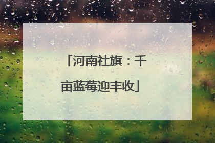 河南社旗：千亩蓝莓迎丰收