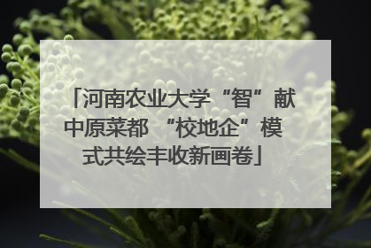 河南农业大学“智”献中原菜都 “校地企”模式共绘丰收新画卷