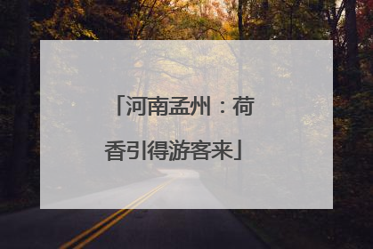 河南孟州：荷香引得游客来