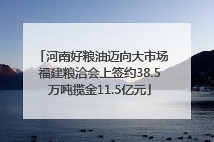 河南好粮油迈向大市场 福建粮洽会上签约38.5万吨揽金11.5亿元