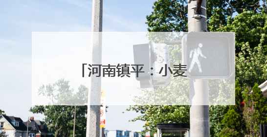 河南镇平：小麦机收大比武 减损节粮助增收