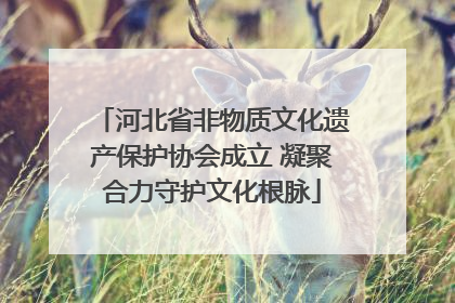 河北省非物质文化遗产保护协会成立 凝聚合力守护文化根脉